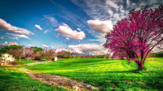 Most Beautiful Spring Wallpaper