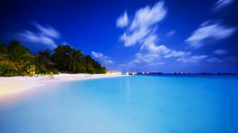 Summer Wallpaper
