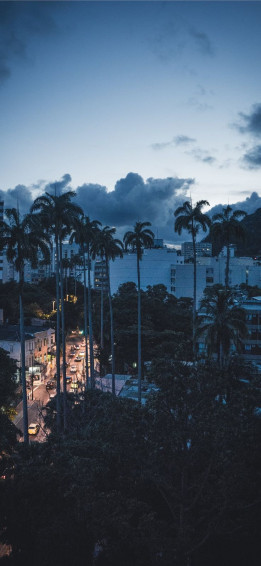 Sunset In Rio Stateofriodejaneiro Brazil Palmtree