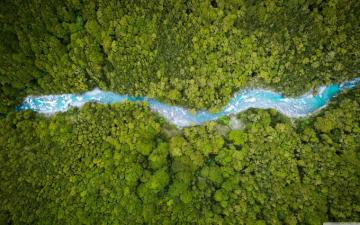 Aerial Forest Creek Summer Nature Ultra HD Desktop