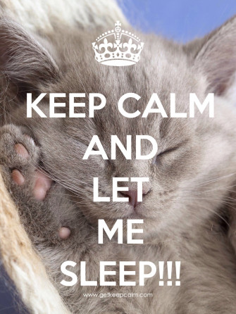 Keep Calm And Let Me Sleep Created By Iec Quotes