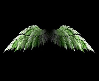 Angel Wing Wallpaper Quoteko