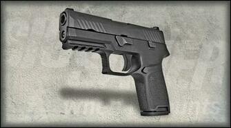 P320 Carry Nitron