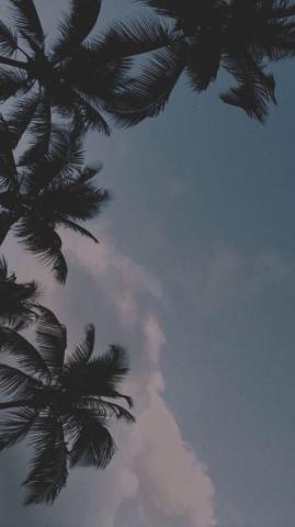 Wallpaper