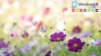 Spring Brown Flower For Windows Wide