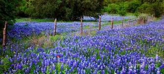 Hill Field Fence Serbia Mionica Nature HD Wallpaper