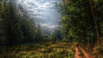 Digital Nature Painting Wallpaper Stock Photos Imgstocks