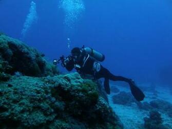 Scuba Diving Wallpaper