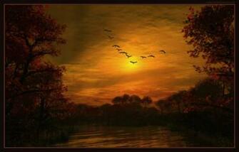Flying Geese Html E Mail Templates