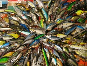 Fish Fishing Wallpaper Vivid Colors Lure