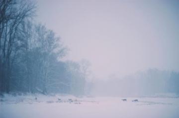 Android Wallpaper Snow Day Phandroid