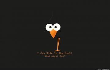 Funny Wallpaper Image Wallpaperko