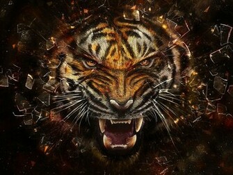 Nice 3d Wallpaper