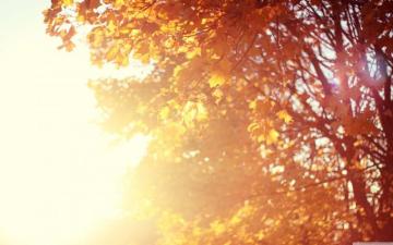 November Wallpaper Top Background