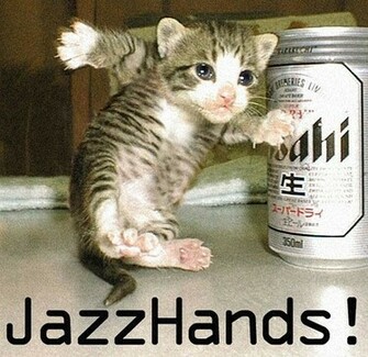 Funny Lol Pics Of Cats Photo