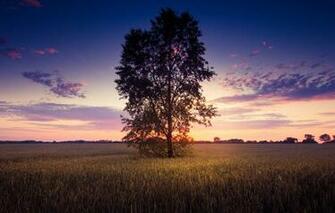 Screensaver And Wallpaper Nature Android