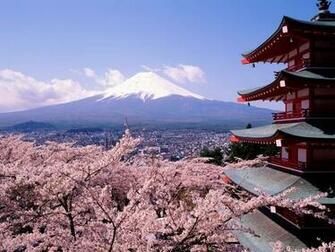 Blossoms And Mount Fuji Japan Widescreen Wallpaper