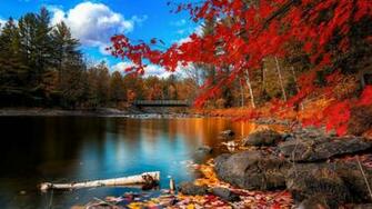 4k Wallpaper Ultra HD Landscape In Fall Desktop Background
