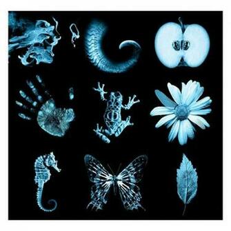 Fringe Glyphs1