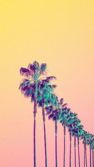 Aesthetic Wallpaper