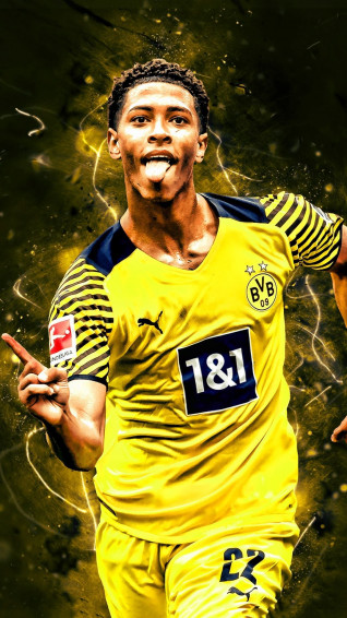 All Wallpaper