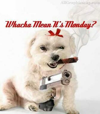 Allgraphics123 Absurd Monday Graphic