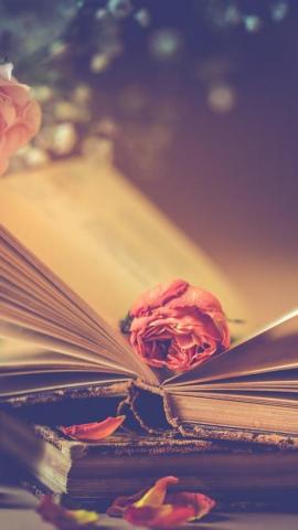 iPhone Wallpaper Pink Roses And Books Romantic Fond D Cran