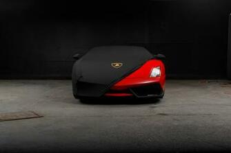 Just A Tease HD Photo By Nathan Van Egmond Thevanegmond On