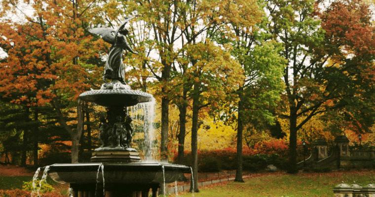 Autumn Days By Jamie Beck And Kevin Burg