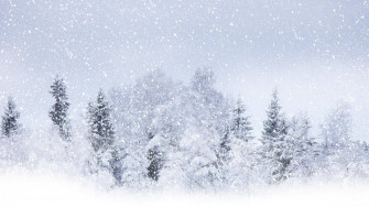 Snow Desktop Wallpaper
