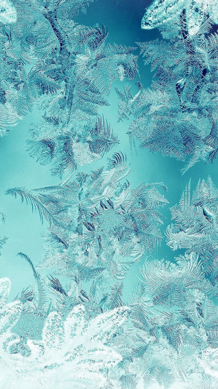 Ice Pattern Green Snow Nauture Christmas iPhone Wallpaper