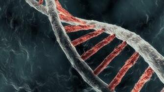 Dna Helix Wallpaper Double