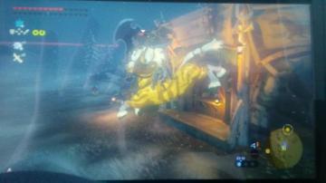Hi I Would Like To Register This Lynel R Botw