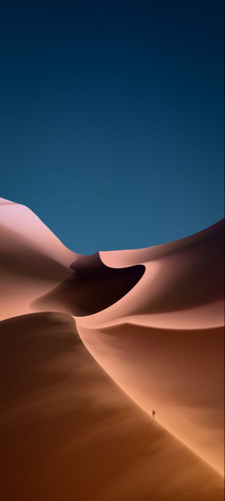 900880d6b9a9a61e41b6c4ef21e1ca7b Wallpaper