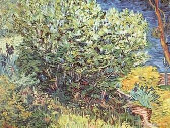 Lilac Bush Van Gogh Vincent Wallpaper