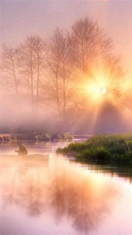 Morning Misty Lake Pure Scenery iPhone Wallpaper