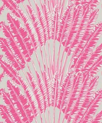 Feather Palm Wallpaper Big Bold Leaf Milton King