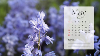 And Customizable Spring Desktop Wallpaper Templates