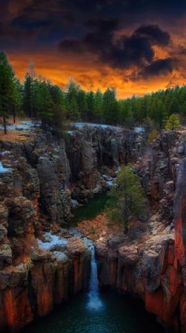 Nature Forest Tree Arizona Canyon Scenery Wallpaper 4k Pc Desktop