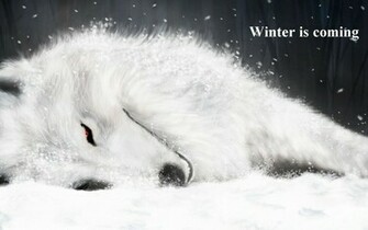 Wolfs Rain Wallpaper
