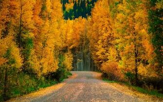 Beautiful Autumn Forest Wallpaper Gallery Yopriceville High