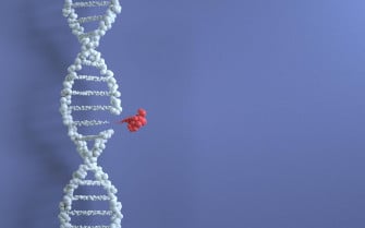 Nyu Tandon Exploring Megabase Scale Genetic Engineering Ieee