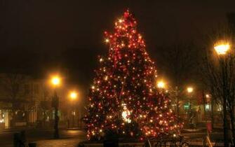 Christmas Tree Lights Wallpaper Fondo HD