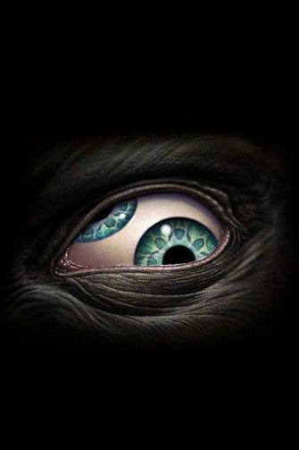 Best iPhone Wallpaper