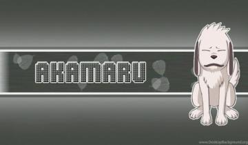 Naruto Wallpaper Kiba The Dog Boy Desktop Background