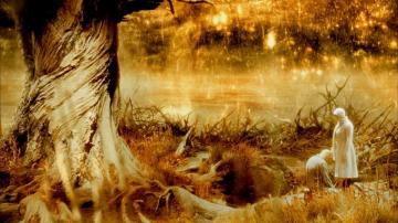 The Fountain Drama Romance Sci Fi Fantasy Movie Film