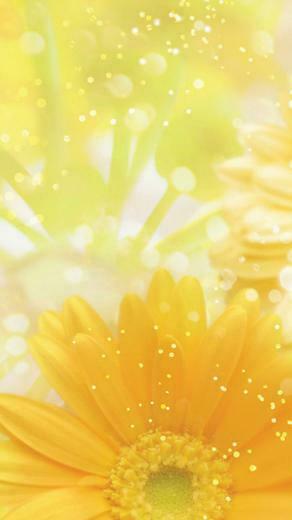 Apple Ipod Touch 5g Decal Skin Yellow Flowers