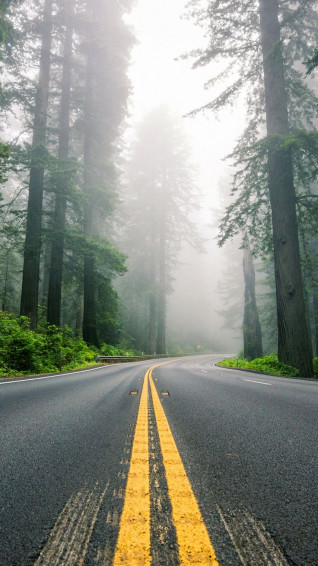 North America Highway Road Usa iPhone Wallpaper Christmas