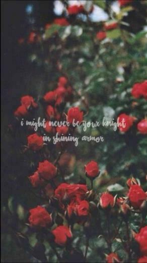 Aesthetic Rose Wallpaper Posted By Zoey Sellers