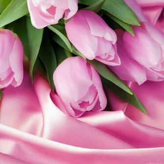 Pink iPad Wallpaper Mini Background